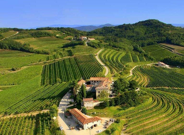 Websites of the various estates for Genagricola S.p.A.