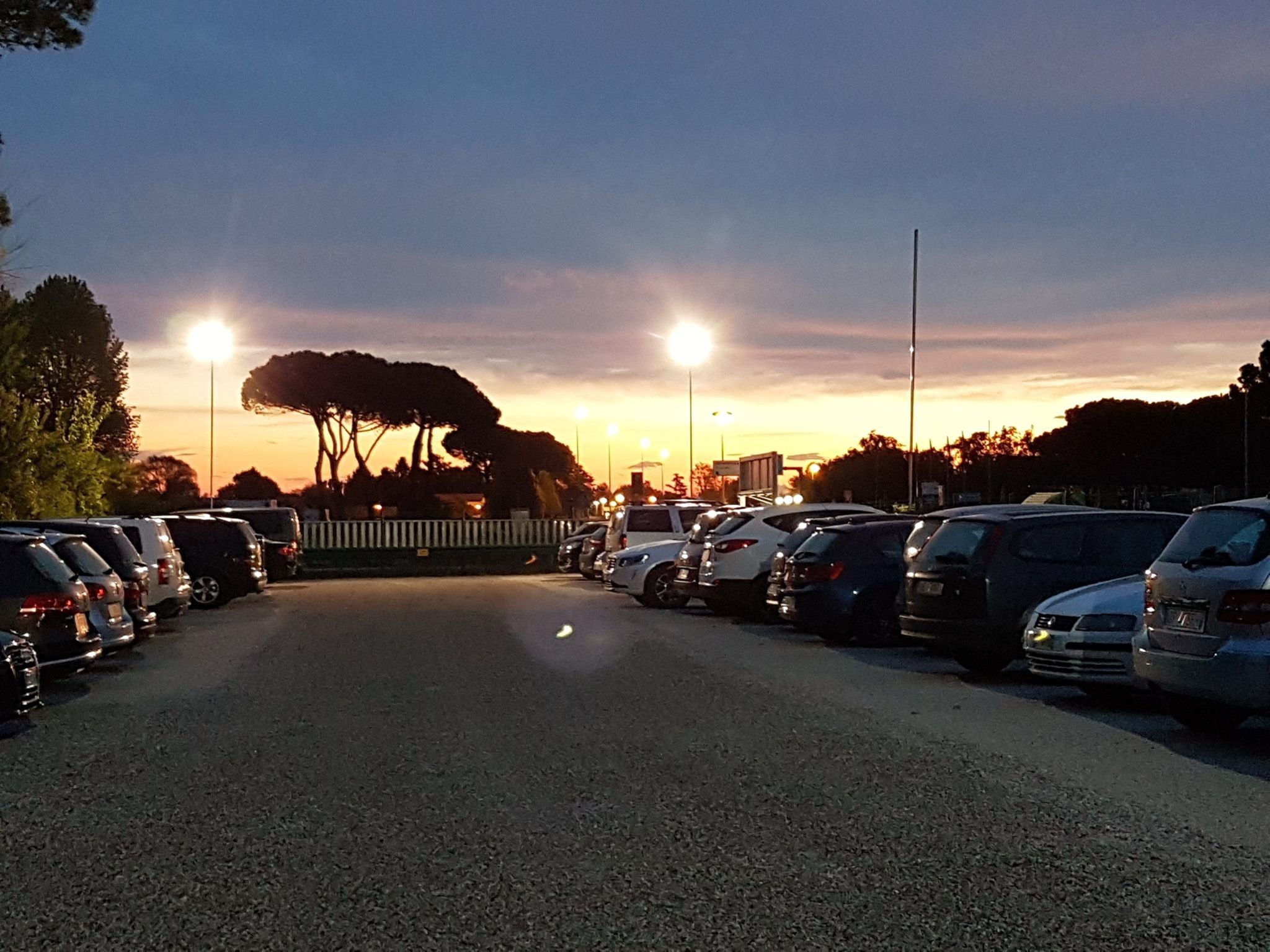 Parkforfun
